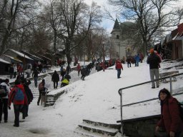 silvestr 2011